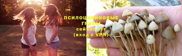 спиды Волосово