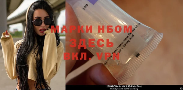 стаф Володарск