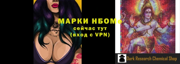 сатива Вяземский