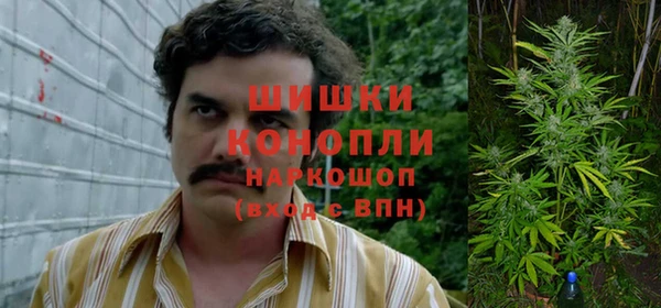стаф Володарск