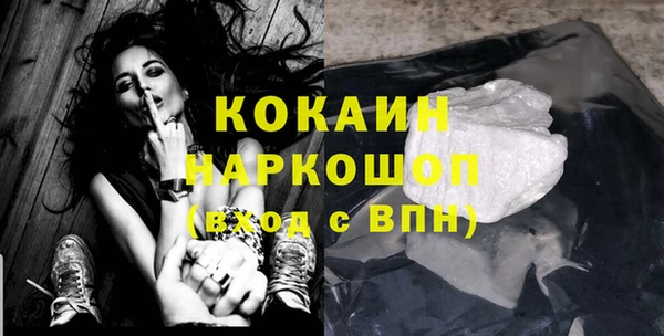 сатива Вяземский