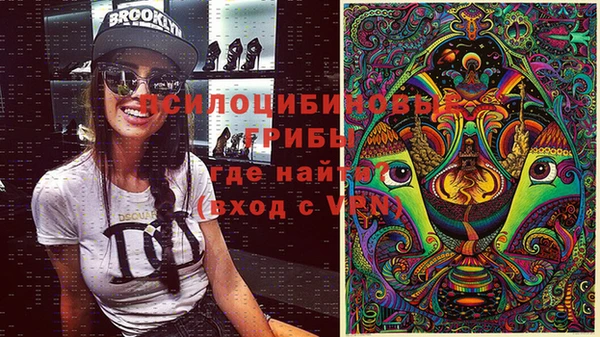 шишки Вязники