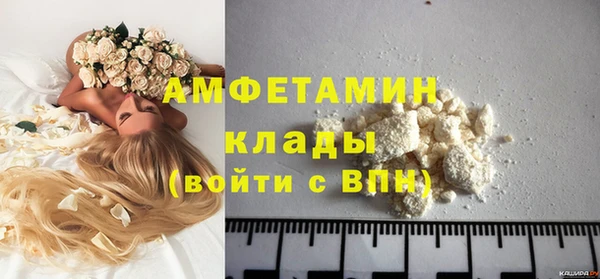 сатива Вяземский