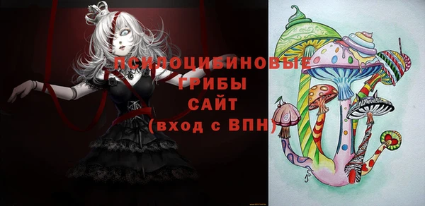 стаф Володарск