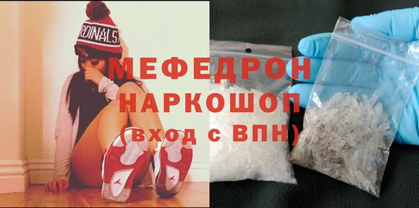 МДПВ Бородино