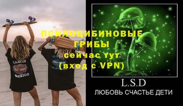 стаф Володарск