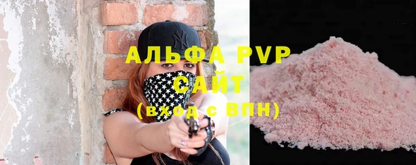 стаф Володарск